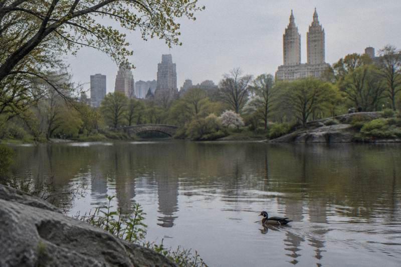 Bilingual Central Park Nature Walk